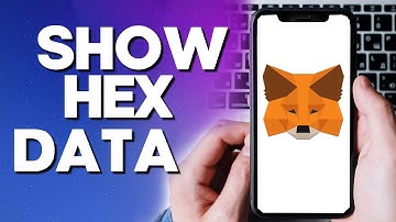 How To Turn ON / OFF Show Hex Data on Metamask Crypto Wallet App