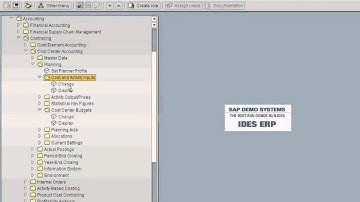 SAP Cost Center Planning