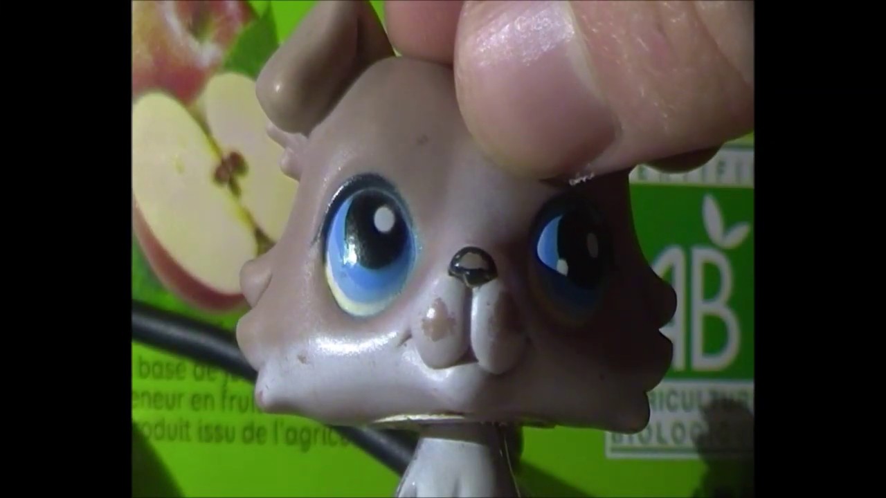 Tom le chat se détend ( Petite Histoire LPS ) YouTube