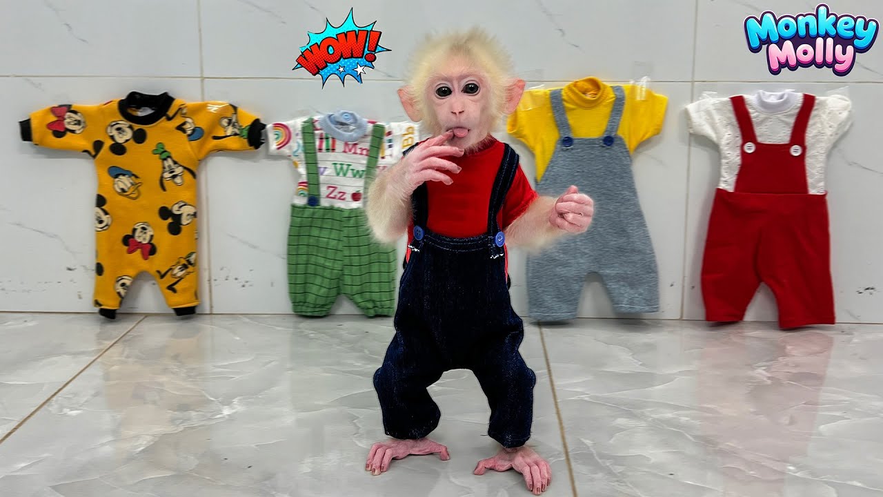 Обезьянка Молли очень рада, что ей купили много новой одежды.