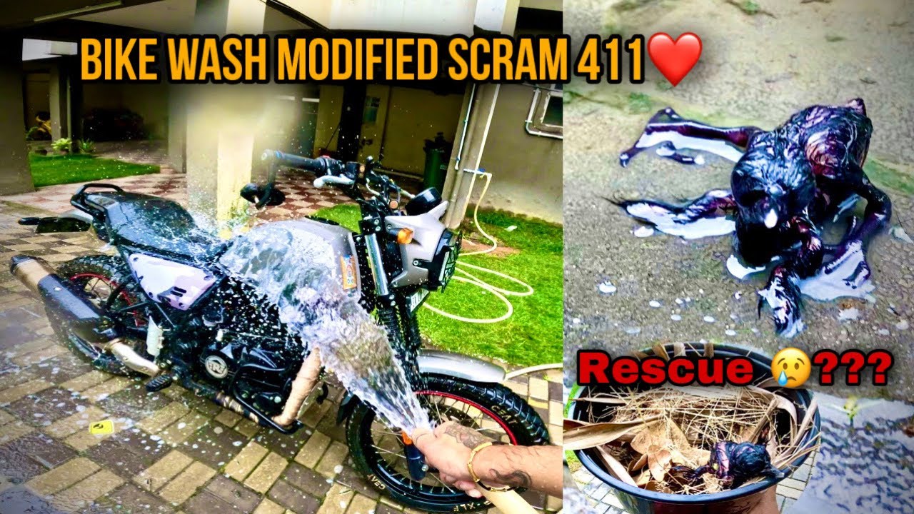 How to care bike at home scram 411 | Rescue Of Baby Bird 😢