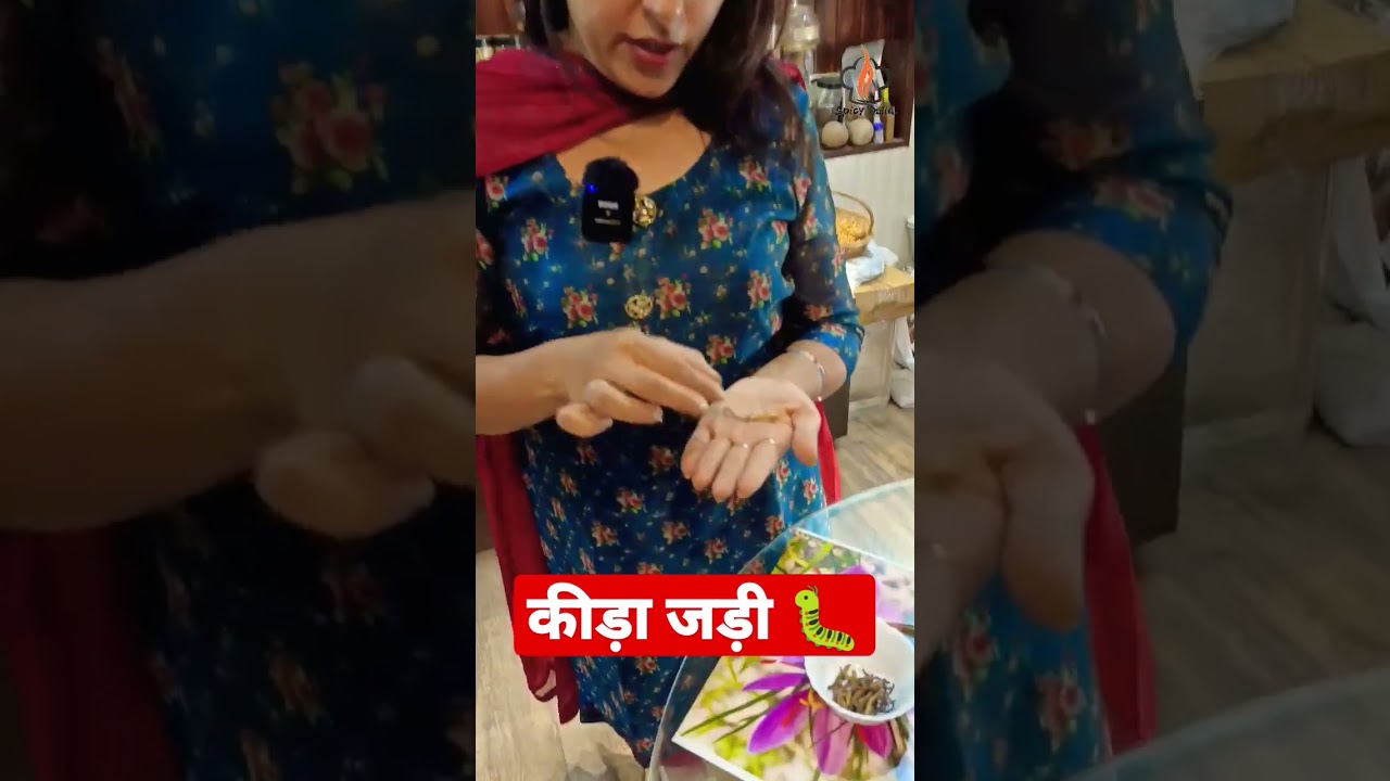 कीड़ा जड़ी 