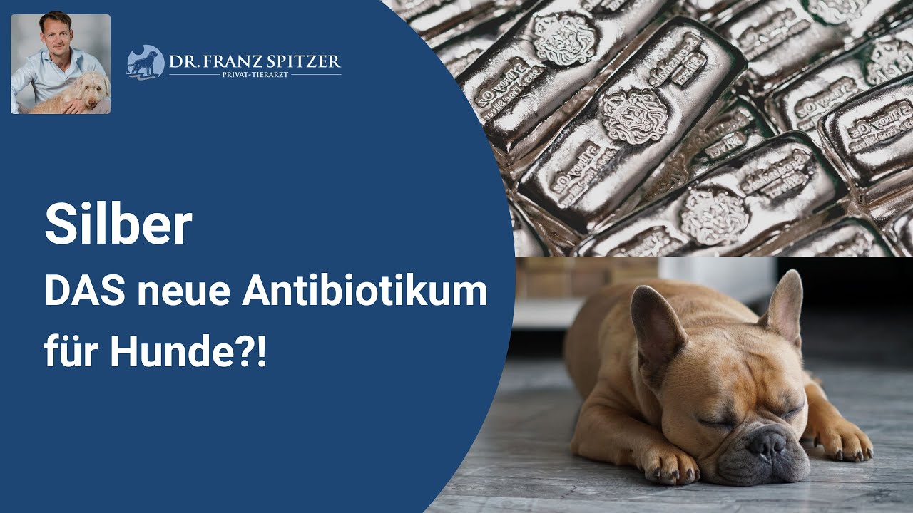 Du Bist Spitzer Als Eine Läufige Hündin Du Bist Spitzer Als Eine Läufige Hündin