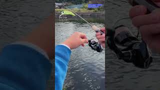 【AREA TROUT FISHING】2025.9.28 Part8
