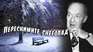 Переснимите снегопад | Бледный огонёк #2