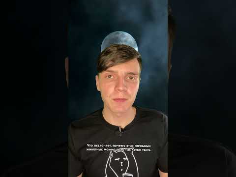 Факты о животных, которые вы не знали..