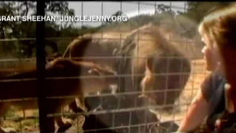 A Mother's Anguish: Family Grieves for Lion Maulin...