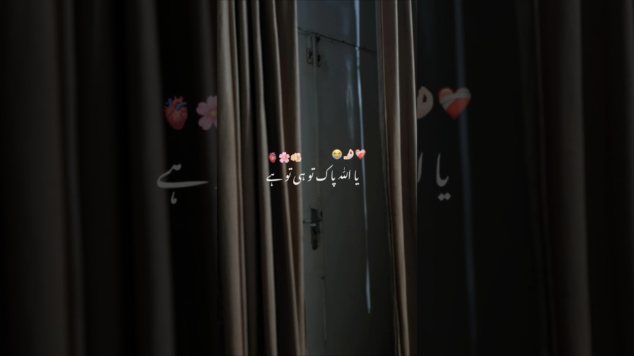 Очки с высоким индексом преломления 1.74 | Линзы по рецепту | Transitions @TheopticalPakistan 