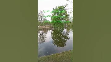 سورة الإخلاص تعدل ثلث القرآن #القرآن_الكريم #الحديث #في #دعاء مستجاب #اكسبلور #دويتو #ترند #لايك