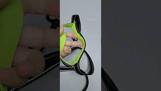 Double layers double handles Nylon dog leash#dogleash #petaccessories