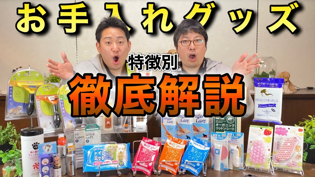 【犬用お手入れグッズの選び方】あなたの愛犬に必要なケアグッズをペットショップ店長が解説します！