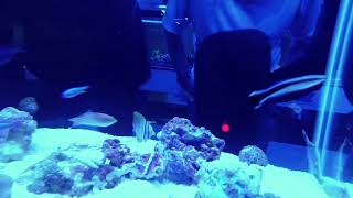 Live - Field Trip - Terence And Paul Wrap Up The Year At A Lfs