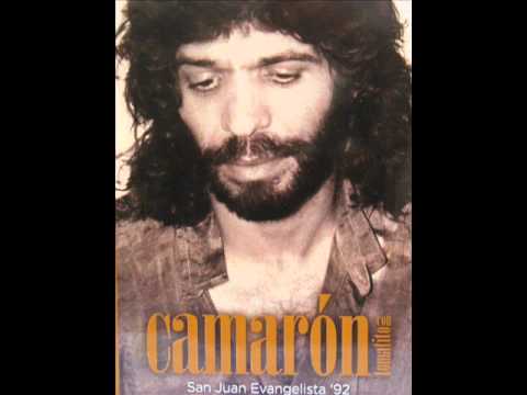 SOLEA POR BULERÍAS CAMARÓN