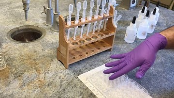 Lab 5: Net Ionic Equations