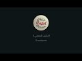 التنكيل للمعلمي 3 التنكيل للمعلمي 3