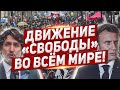 Движение свободы охватывает весь мир. Новости из Европы