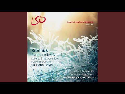 London Symphony Orchestra, Sir Colin Davis & Jean Sibelius - Symphony No. 4 in A Minor, Op. 63: II. Allegro molto vivace