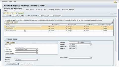 SAP - SAP Business ByDesign Sourcing Project Services