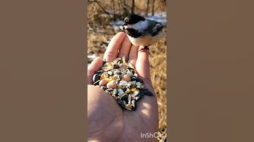 تلاوة رائعة لشيخ ياسر الدوسري 2021