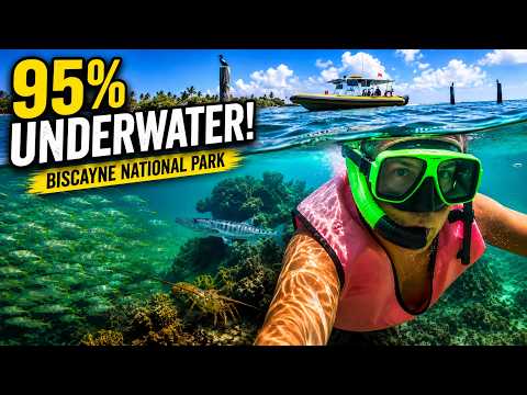 I Explored a National Park That’s 95% Underwater