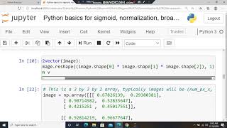 Python basics for sigmoid, normalization, broadcasting and loss function