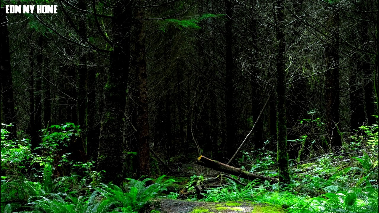 TOP BEST JUNGLE TERROR MUSIC 2016