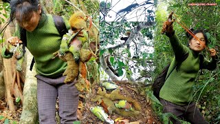 สาวดอย ล่านกและกระรอกกินผลไม้สุดยอดมาก Hunting birds and squirrels eat fruit