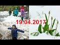 СНЕГ В АПРЕЛЕ 19 04 2017 Снегопад в Харькове и сюрпризы погоды