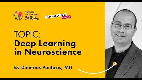 Deep Learning in Neuroscience — DIMITRIOS PANTAZIS