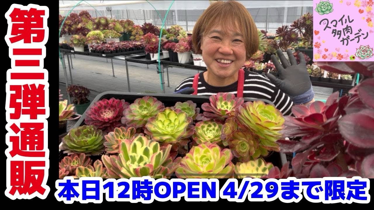 Opening at 12:00 PM today] Third round of online sales starts