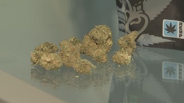 Hemp businesses say bill to reopen government would destroy industry | WSOC-TV