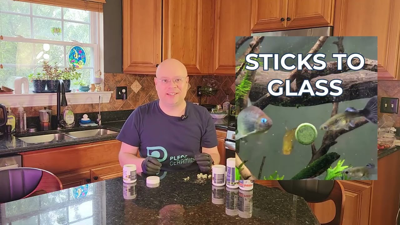 One Food for Your Tank + Pleco Fry Paste