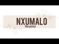 NXUMALO Clan Praises | Izithakazelo zakwa Nxumalo | Tinanatelo by Nomcebo The POET - Swati YouTuber