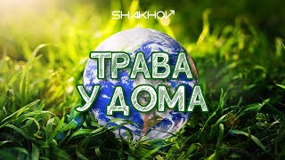 SHAKHOV - Трава у дома [Official Mood Video]