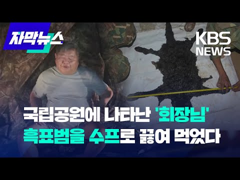[자막뉴스]&amp;#39;<strong>라쿤</strong>&amp;#39;, &amp;#39;사막여우&amp;#39;, &amp;#39;호랑이&amp;#39;...동물원 대신 공항에 왜?.../ KBS 2022. 08.22
