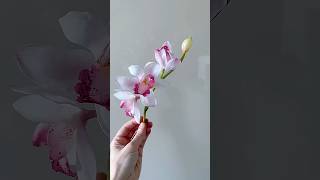 WAFER PAPER Cymbidium • No wires !!! 🌸 🎋