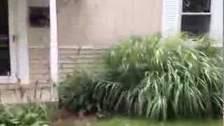 Home for Sale- Oakland County, Berkley, Michigan                       (248)284-3984
