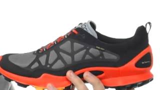 ecco biom train natural motion