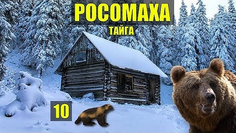 УБЕЖИЩЕ РОСОМАХА РАЗОРЯЕТ ИЗБЫ ОХОТНИКОВ ТАЙГА ОХОТА ДОМ в ЛЕСУ СУДЬБА ИСТОРИИ из ЖИЗНИ СЕРИАЛ 10