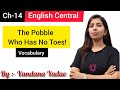 Vocabulary (The Pobble Who Has No Toes!) || Edward Lear || detailed explanation by Vandana Yadav 