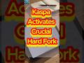 Kaspa Activates Crucial Hard Fork in Early May 2026 #tintuc