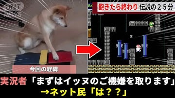 海外でバズった天才イッヌのRTA企画、必殺技「おやつにチーズ」を編み出して人類がイッヌに敗北する様子が話題にwww