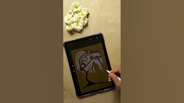 Time lapse video of tree making process using doodles in Procreate