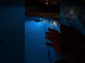 This SANSI Solar RGB Pool Light is impressive! Lights up my whole pool and lasts all night!