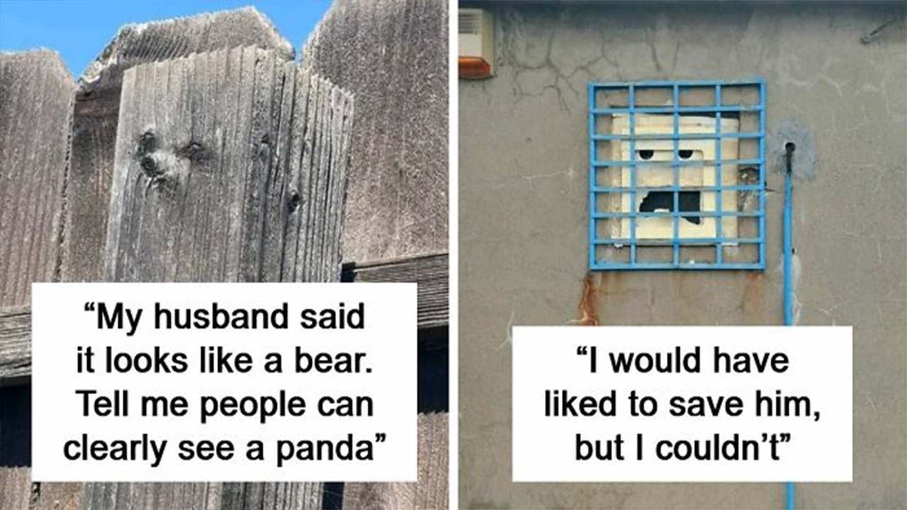 Photos Of The Most Random Things In The World That Humans Can See A ...