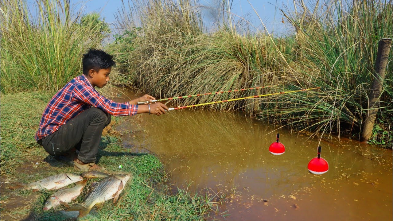 Fishing Video 🎣|| The boy always catches a lot of fish from the village ...