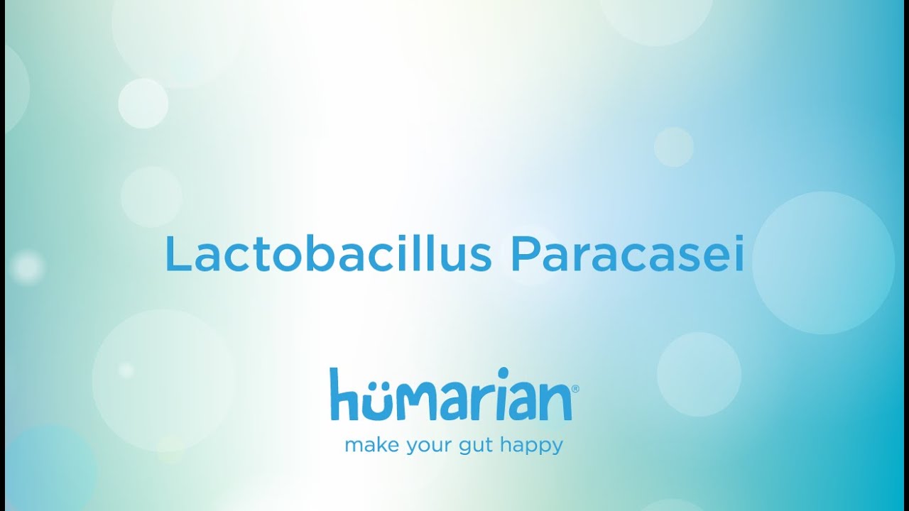 Lactobacillus Paracasei