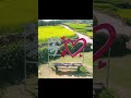 봄이 와서 좋다😀 당신이 와서 더 좋다😍