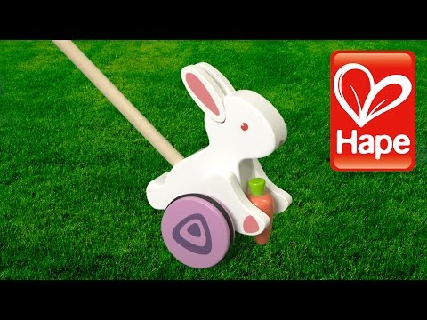 Video: Hippychick Boikido Push & Pull Recenzie pentru vagonul de iepure