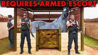 How Does The Most Expensive Horse In The United States, Valued At $7000000, Lives?
